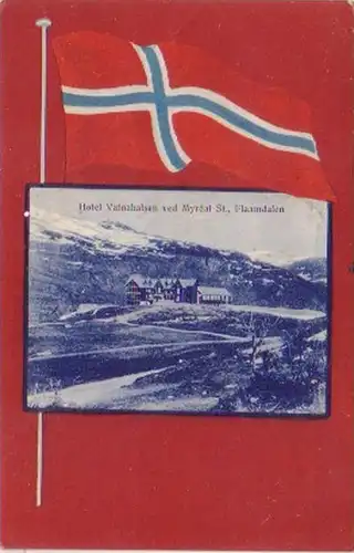 20774 Ak Norwegen Hotel Vatnahalsen Flaamdalen 1913