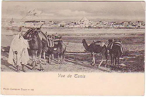 12747 Ak Vue de Tunis Dromedar Tunesien Tunisie 1905