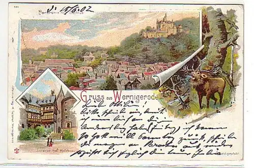 09806 Ak Lithographie Gruß aus Wernigerode 1902