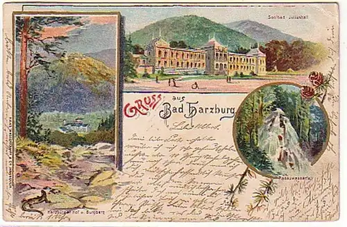 06834 Ak Lithographie Gruss de Bad Harzburg 1899