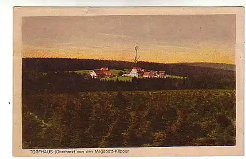 02075 Ak Maison de tourbe à l'hôtel Harz Wulferts vers 1920