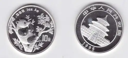 10 pièce d'argent yuan Chine 1995 Panda 1 once d ' argent (131448)