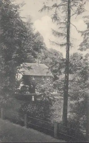 AK Blankenburg Partie am Schlossberg, gelaufen 1908