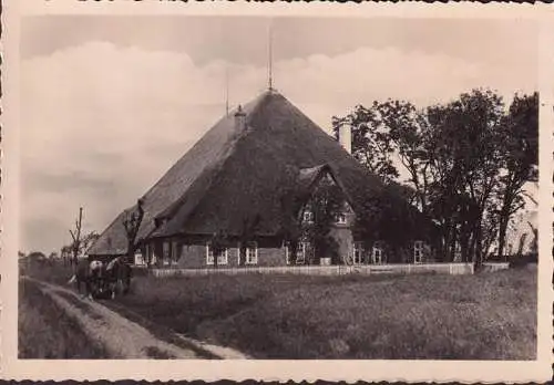 AK St. Peter Ording, Reetdachhaus, Gehöft, Bauer mit Pferden, ungelaufen