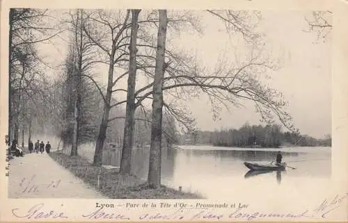 CPA Lyon, Parc de la tete, Promenade et Lac, gel.