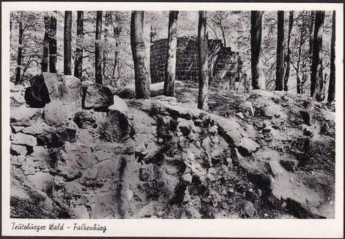 [Ansichtskarte] AK Detmold, Ruine Falkenburg, ungelaufen. 