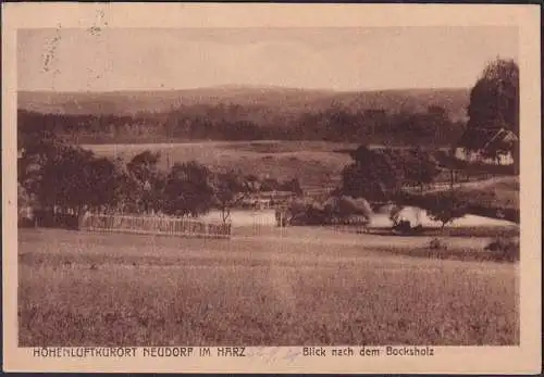 AK Neudorf im Harz, Blick nach dem Bocksholz, gelaufen