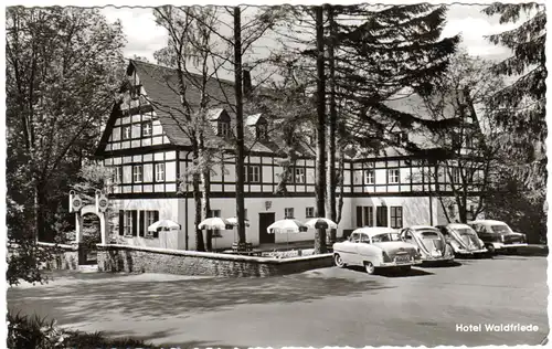 Hattgenstein, Hotel Waldfriede m. Oldtimern, 1959 gebr. sw-AK