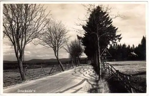 DR 1931, Landpoststpl. GRÜNHEIDE Auerbach (Vogt.) Land auf Karte m. 8 Pf.