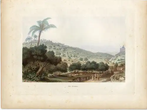 Jerusalén. Monte De Die Olivos. Gravierkunst Coloriert Auf Hand, 1861