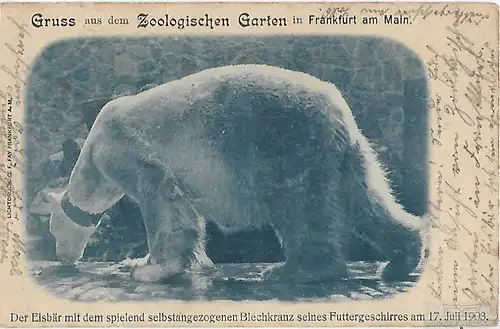 AK Gruss aus dem Zoologischen Garten in Frankfurt am Main. ca. 1905, Postkarte