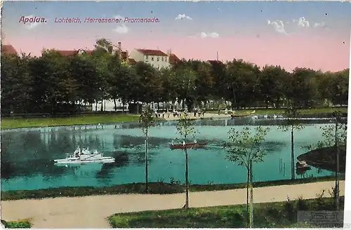 AK Apolda. Lohteich. Herressener Promenade. ca. 1915, Postkarte. Ca. 1915