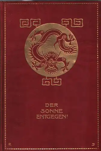 Buch: Der Sonne entgegen, Biagosch, Anna, ca. 1908, gebraucht, gut