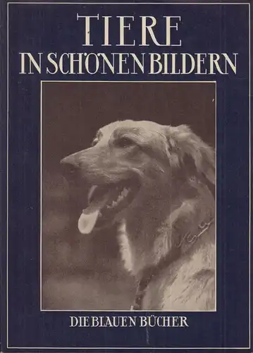 Buch: Tiere in Schönen Bildern. Die Blauen Bücher, Karl Robert Langewiesche