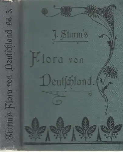 Buch: J. Sturms Flora von Deutschland. 1901, K. G. Lutz