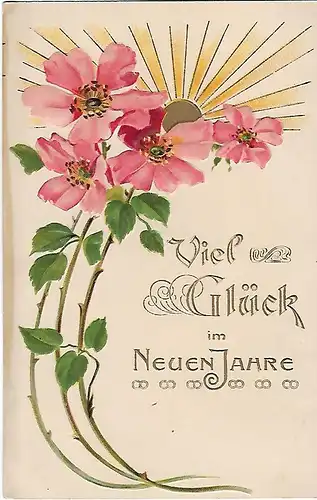 AK Viel Glück im Neuen Jahre. ca. 1912, Postkarte, Neujahr, gebraucht, gu 309127