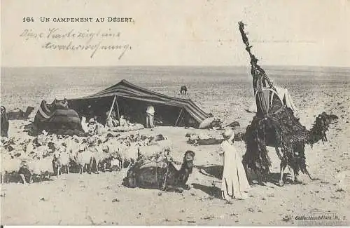 AK Un campement au Desert. ca. 1915, Postkarte. Ca. 1915, gebraucht, gut