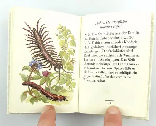 #e6164 Minibuch: Die Wiese in der Hosentasche von Günther Feustel 1. Auflage