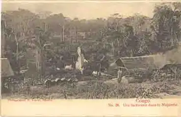 Congo Zaire Une factorerie dans le Majumbe *ca.1900