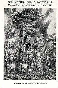 Guatemala Internationale Weltausstellung 1913 Banane Plantage