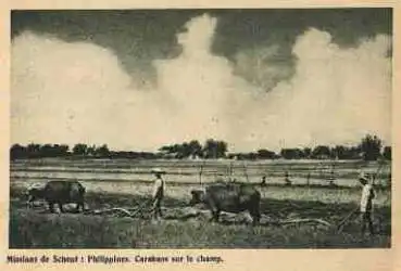 Philippinen Männer beim Pflügen mit Büffeln * ca. 1930