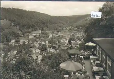 07427 Schwarzburg von der Hotel Terrasse  * ca. 1960