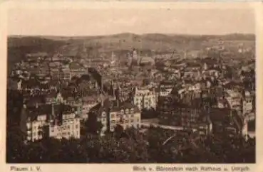 08529 Plauen  vom Bärenstein nach Rathaus gebr. ca. 1920