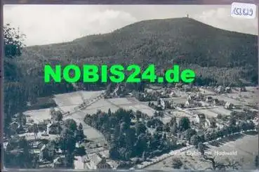 02797 Oybin mit Hochwald o 23.8.1961