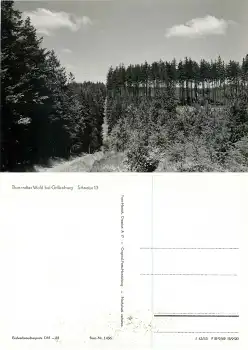 01737 Grillenburg Tharandter Wald Schneise 13 *1963 Hanich1436