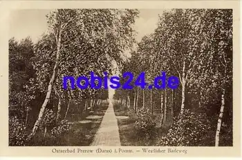 18375 Prerow Darss Westlicher Badeweg *ca.1920