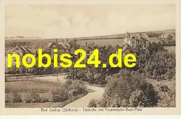 37441 Bad Sachsa Forstmeister Baer Platz *ca.1920