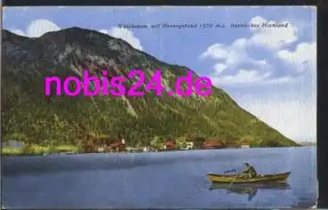 82432 Walchensee mit Herzogstand *ca.1924