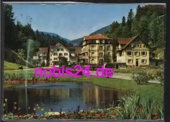 77776 Bad Rippoldsau  Sanatorium o 8.6.1974