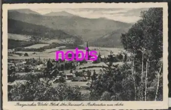 94227 Bayerischer Wald Blick zum Arber *ca.1930