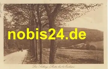 37603 Solling Partie bei Neuhaus o 10.8.1921