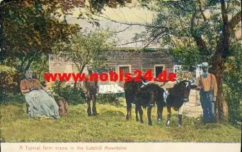 Catskill NY Mountain a Typical farm Scene *ca. 1910