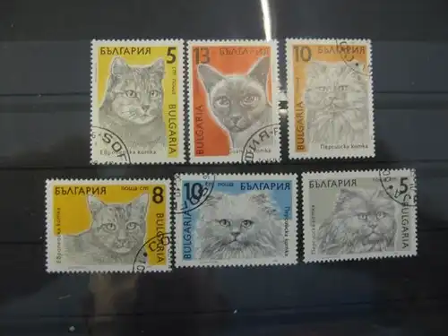 Katzen, Bulgarien, 6 Werte