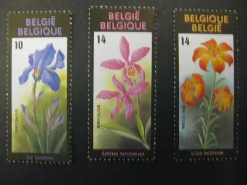 Blumen, Belgien, 3 Werte