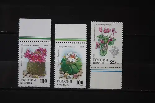 Rußland, Blumen 1994