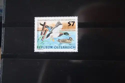 Österreich, Wasserwild, Enten, 2001