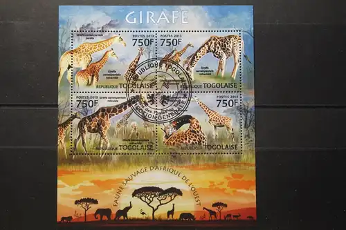 Togo, Tiere, Giraffen, 2013