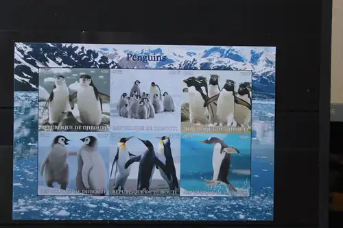 Djibuti, Tiere, Pinguine, 2015