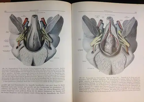 Peham, Heinrich von und J. Amreich: Gynäkologische Operationslehre. Mit 448 größtenteils farbigen Originalabbildungen. 