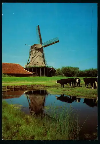 AK   Oliemolen De Bonte Hen te Zaandam Zaanse Schans ..... [ D273 ]