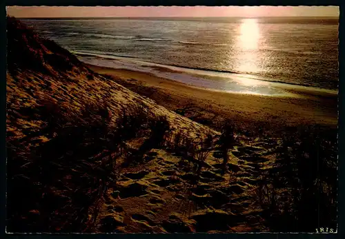 AK    Bassin d'Arcachon : Au pied des dunes , contre - jour sur le Bassin ..... [ H666 ]