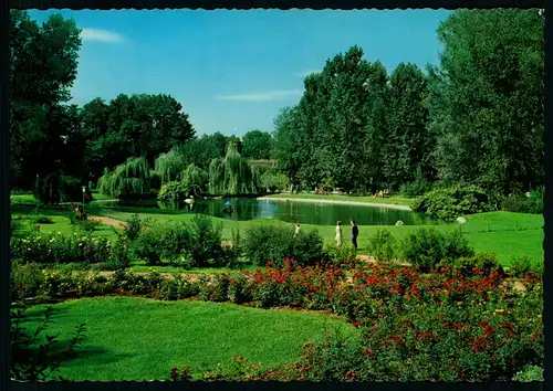 AK    Bad Neustadt / Saale - Kurpark mit Schwanenteich ..... [ H834 ]