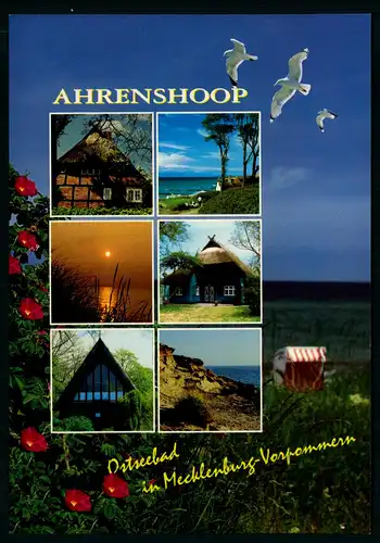 AK    Ahrenshoop - Fischland Darß Zingst ..... [ H878 ]