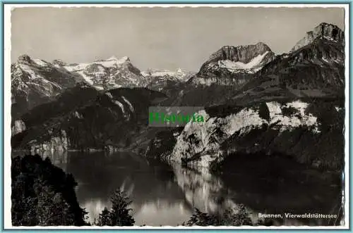 [Ansichtskarte] Brunnen, Vierwaldstättersee. 