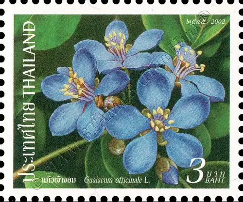 New Year (XV): Flowers (MNH)