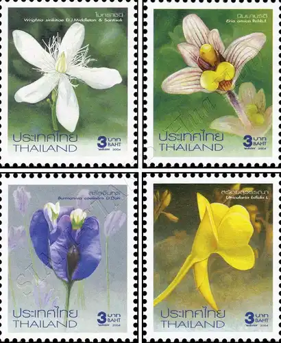 New Year 2005: Flowers (17th Series) (MNH)